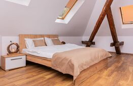 Apartament 1 camera ultracentral