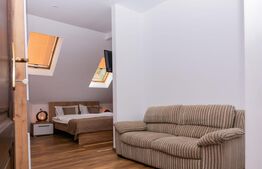 Apartament 1 camera ultracentral