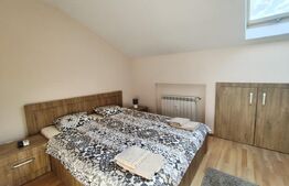 Apartament pe 2 nivele tip penthouse, Nufarul