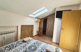 Apartament pe 2 nivele tip penthouse, Nufarul