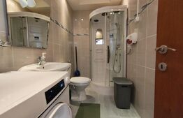 Apartament pe 2 nivele tip penthouse, Nufarul