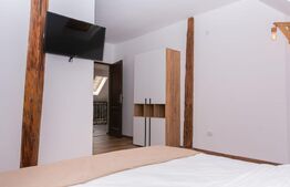 Apartament 1 camera ultracentral