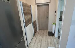 Apartament cu un dormitor, Ared Mobilat si Utilat , 40mp 