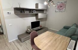 Apartament cu un dormitor, Ared Mobilat si Utilat , 40mp 