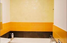 Apartament cu un dormitor, Ared Mobilat si Utilat , 40mp 