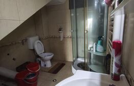 De vanzare casa la intrare in Cihei 185mp P+M+beci, mobilata