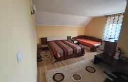 De vanzare casa la intrare in Cihei 185mp P+M+beci, mobilata