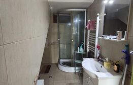 De vanzare casa la intrare in Cihei 185mp P+M+beci teren 2700mp mobilata