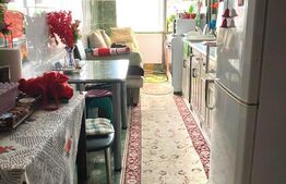 Apartament Luminos cu 1 cameră, 30,52 mp, zona Nufărul