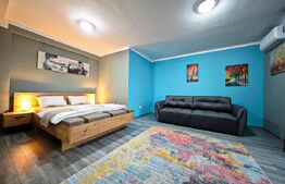 Oportunitate unică – Studio open space 44 mp + balcon – Cordău, Băile Felix 