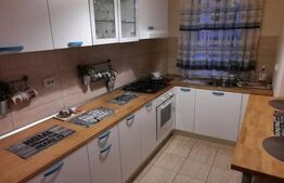 Apartament cu 2 camere, 42 mp, cu parcare, zona Nufarul
