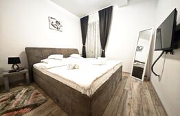 Studio 2 Camere cu Dormitor Separat | Cordău | Lângă Băile Felix