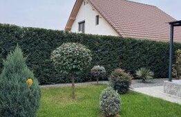 Casa cu 3 camere, curte proprie, Grigorescu