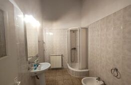 Apartament cu acoperis inalt(stil evreiesc), 98 mp, Ultracentral