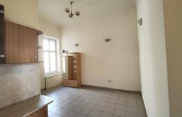 Apartament cu acoperis inalt(stil evreiesc), 98 mp, Ultracentral