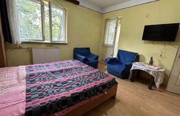 Apartament cu o camera, zona Decebal