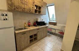 Apartament cu o camera, zona Valenta