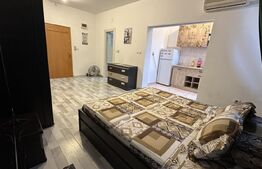 Apartament cu o camera, zona Valenta