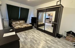 Apartament cu o camera, zona Valenta