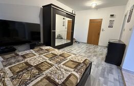Apartament cu o camera, zona Valenta
