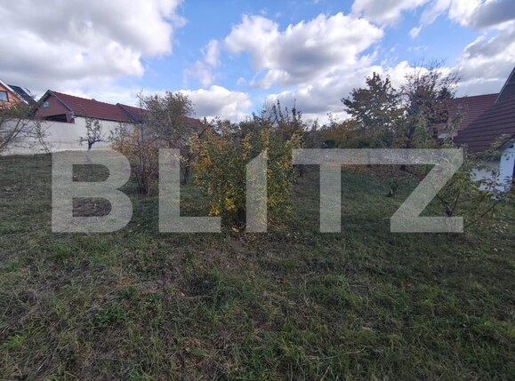 Teren de vânzare Dealuri Oradea - 180793TV | BLITZ Oradea | Poza2