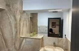 Penthouse superb de 129 mp, cu terasa de 140 mp, zona Nufarul