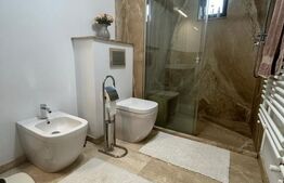 Penthouse superb de 129 mp, cu terasa de 140 mp, zona Nufarul