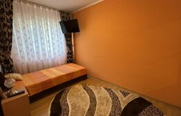 Apartament cu 2 camere, etajul 1, zona Nufarul