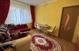 Apartament cu 2 camere, etajul 1, zona Nufarul