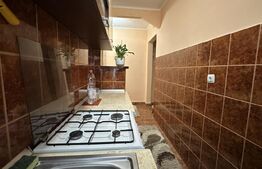Apartament cu 2 camere, etajul 1, zona Nufarul