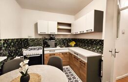 Apartament spatios cu 3 camere, 2 bai, zona Iosia