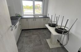 Apartament , ideal pentru muncitori, Borsului