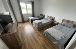 Apartament , ideal pentru muncitori, Borsului