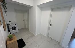 Apartament , ideal pentru muncitori, Borsului