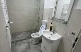 Apartament , ideal pentru muncitori, Borsului