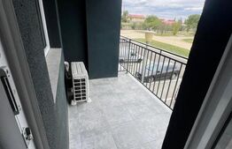 Apartament , ideal pentru muncitori, Borsului