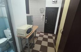 Apartament mobilat si utilat - Nufarul zona Onisifor Ghibu 
