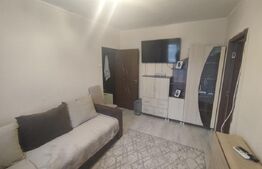 Apartament mobilat si utilat - Nufarul zona Onisifor Ghibu 
