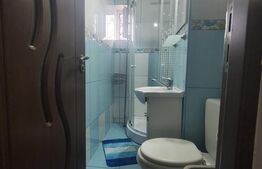 Apartament mobilat si utilat - Nufarul zona Onisifor Ghibu 