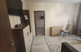 Apartament mobilat si utilat - Nufarul zona Onisifor Ghibu 