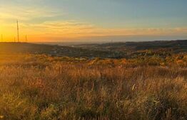 Teren de vânzare Episcopia Bihorului - 141639TV | BLITZ Oradea | Poza1