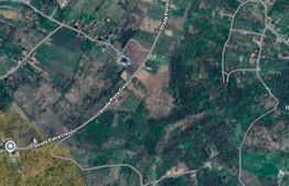 Teren Penoramic de 2700mp, Podgoria