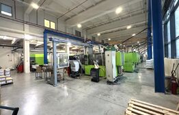 Depozit Frigorific și Hală Producție, Oradea, 6200mp