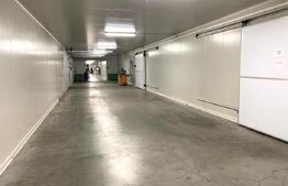 Depozit Frigorific și Hală Producție, Oradea, 6200mp