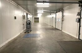 Depozit Frigorific și Hală Producție, Oradea, 6200mp