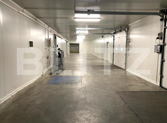 Spațiu industrial de vânzare Seleus - 182920SVI | BLITZ Oradea | Poza5