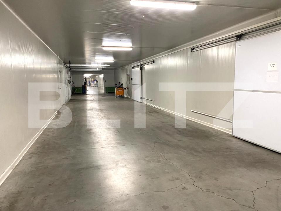 Spațiu industrial de vânzare Seleus - 182920SVI | BLITZ Oradea | Poza4