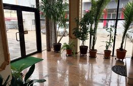 Spații comerciale in clădire de birouri central