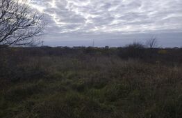 De vanzare teren intravilan in Sanmartin parcelat 