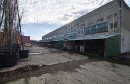 Teren intravilan in Oncea